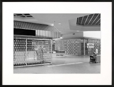 Livonia Mall (&#039;Exotic Image&#039;), Livonia, MI Est 1964, Demo 2008