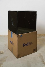 FedEx&reg; Large Kraft Box &copy;2005 FEDEX 330508 REV 10/05 SSCC, International Priority, Los Angeles-Tijuana trk#865282057997, October 29 - November 6, 2008, International Priority, Tijuana-Los Angeles trk#867279774918, January 2 - 6, 2009,