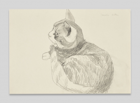 Maria Lassnig, Sarahs&nbsp;Kitten