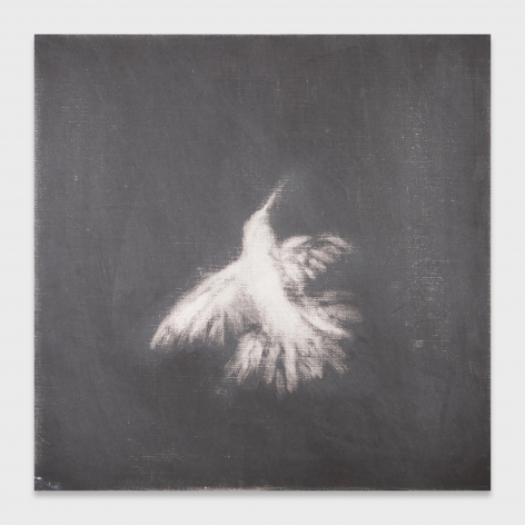 Square black canvas with white bird in the center
