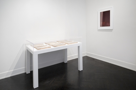 Installation shot of Strange New Beauty at Petzel. the rose tinted portrait of Barron trump hangs on the right hand wall. on a table covered in plexi glass are nine engraved plates.